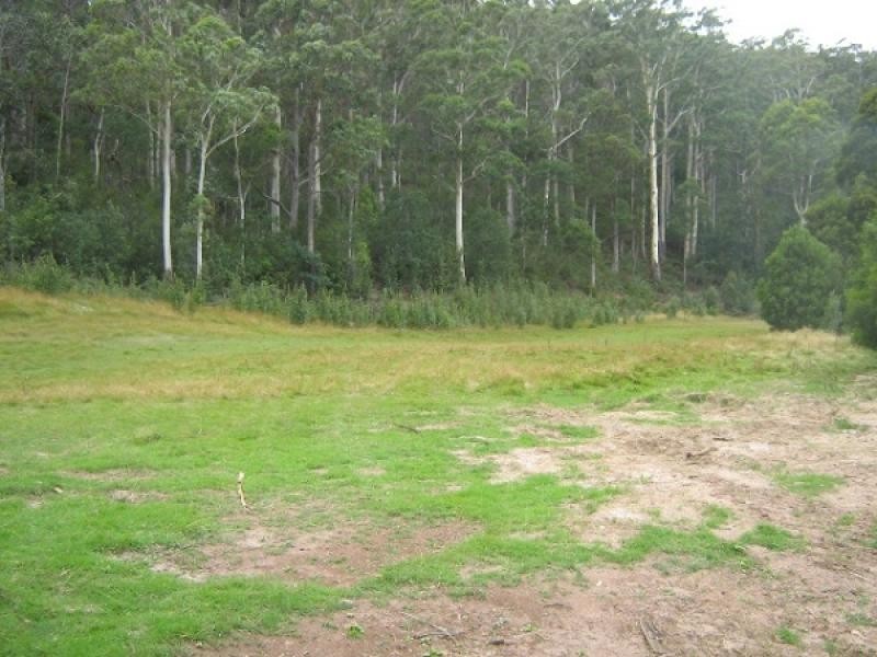 Gunns Plains TAS 7315