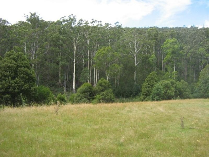 Gunns Plains TAS 7315