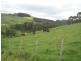 52 Wilmot  Road,, Forth TAS 7310