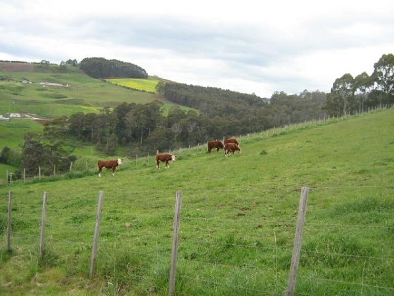 52 Wilmot  Road,, Forth TAS 7310