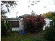 85 Dial Road, Penguin TAS 7316