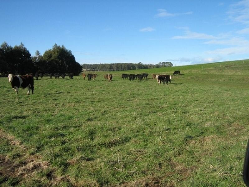 Wesley Vale TAS 7307