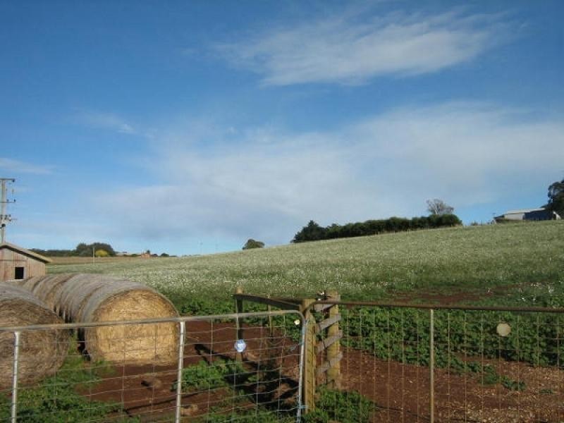 Wesley Vale TAS 7307