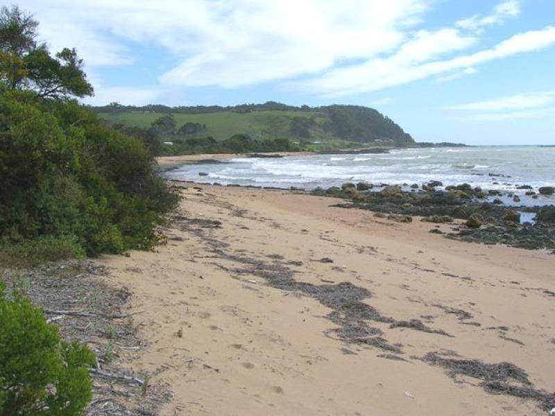 384 PRESERVATION DRIVE, Sulphur Creek TAS 7316
