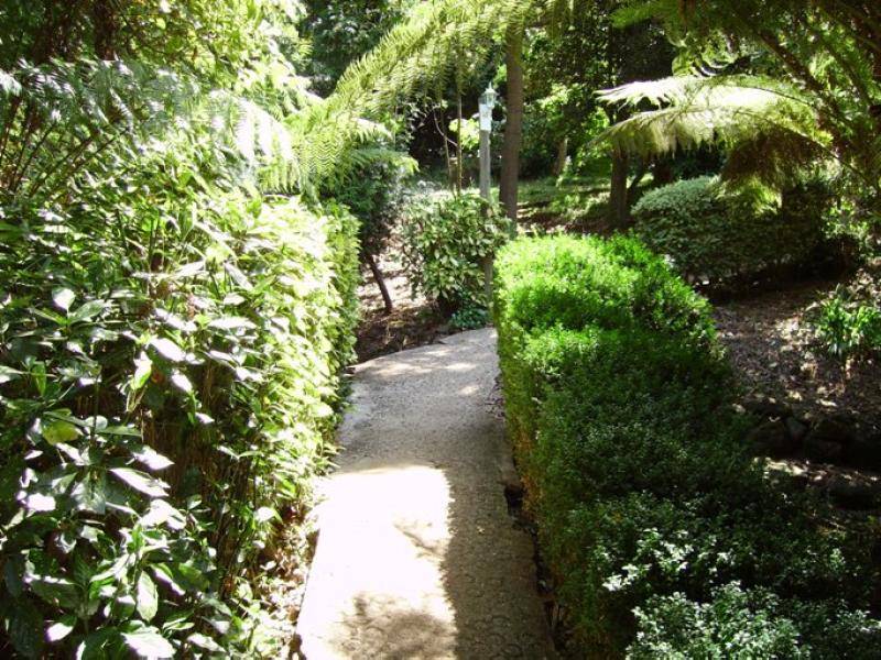 24 LINTON STREET, Upper Burnie TAS 7320