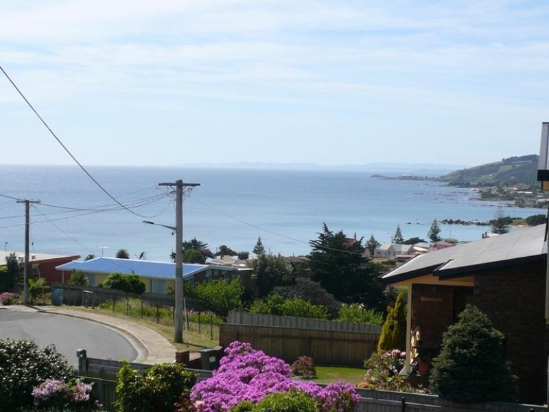 20 KELVIN STREET, Penguin TAS 7316