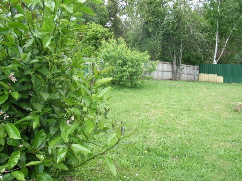 3 Park Avenue, Penguin TAS 7316