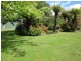 261 Ironcliffe Road, Penguin TAS 7316