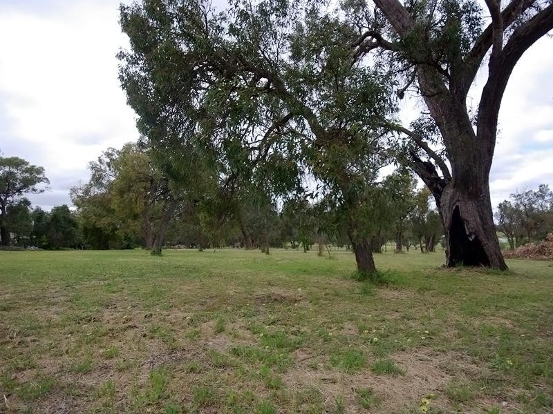 14 Shoulder Close, Wellard WA 6170