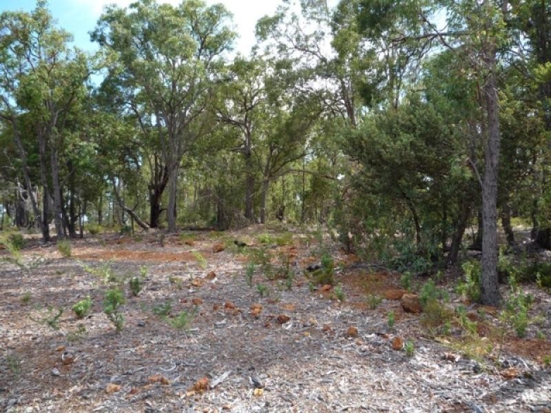 19 Blissett Drive, Bedfordale WA 6112