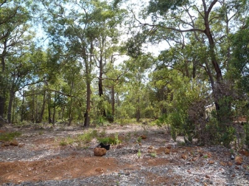 19 Blissett Drive, Bedfordale WA 6112