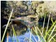 178 Braddock Road, Wellard WA 6170