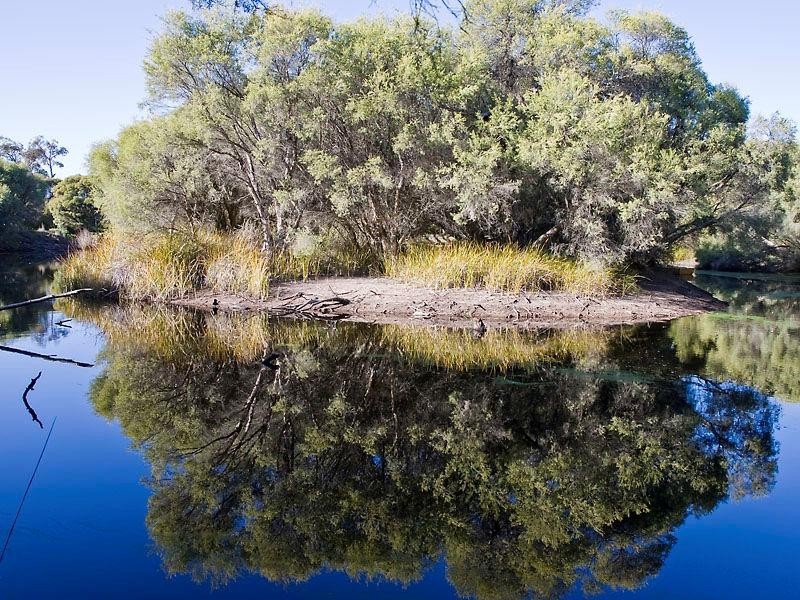 178 Braddock Road, Wellard WA 6170