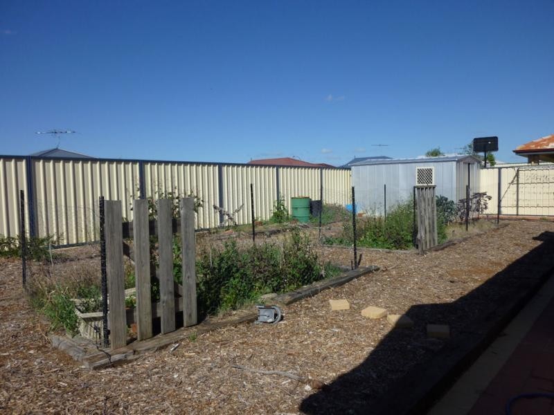 29 Wimbledon Street, Bertram WA 6167