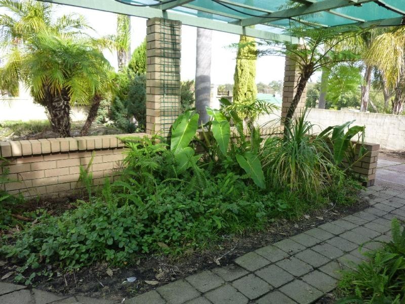 19 Barron Way, Orelia WA 6167