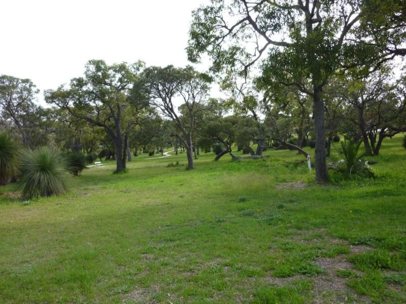 21 Clark Way, Orelia WA 6167