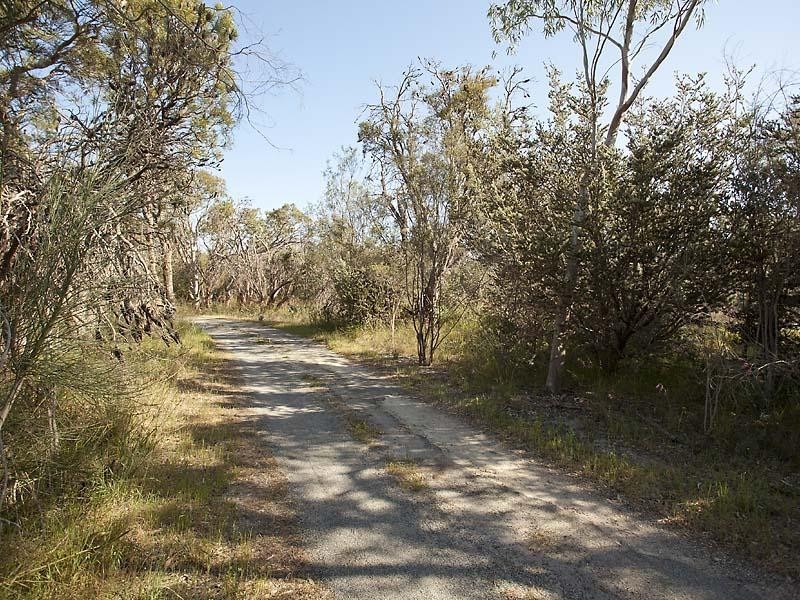 124 Lavery Drive, Casuarina WA 6167