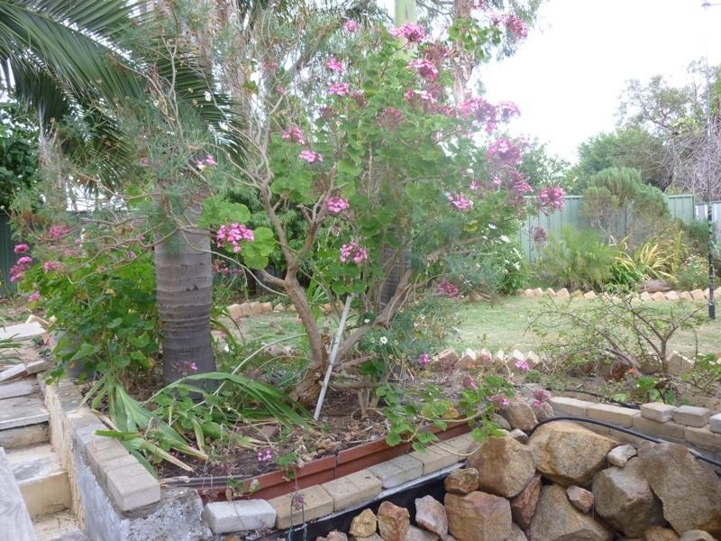 11 Kelly Close, Parmelia WA 6167