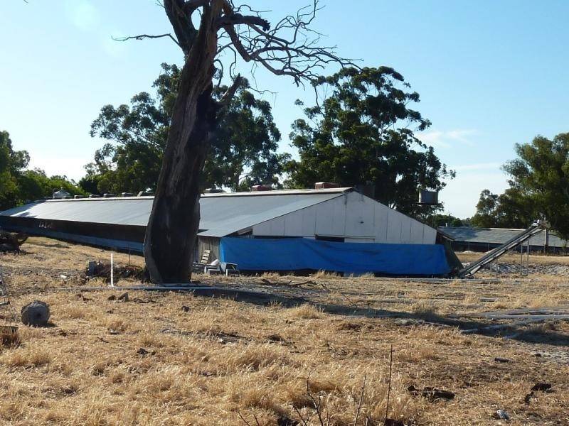 44 Tuart Road, Oakford WA 6121