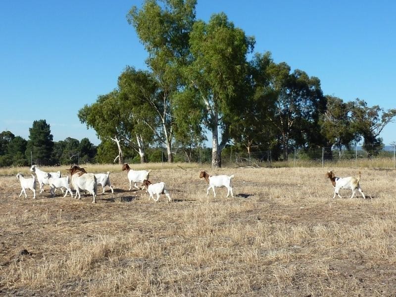 44 Tuart Road, Oakford WA 6121