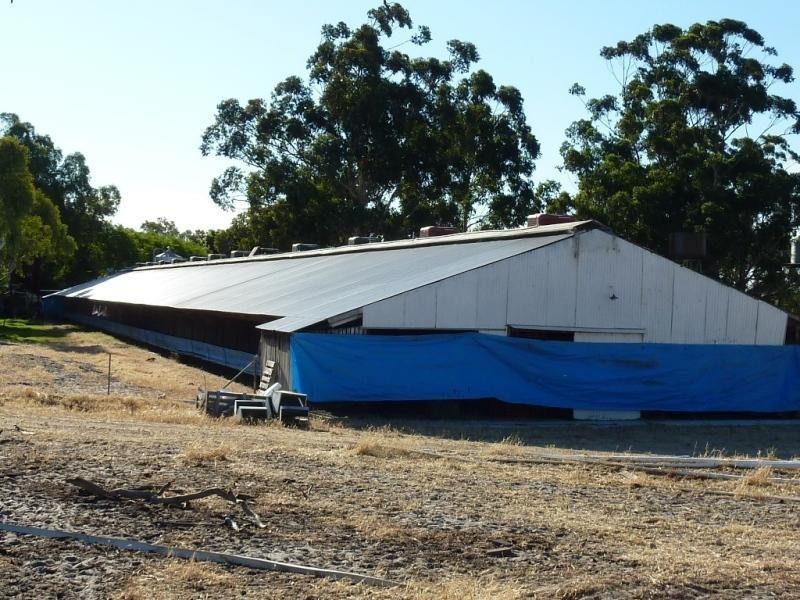 44 Tuart Road, Oakford WA 6121