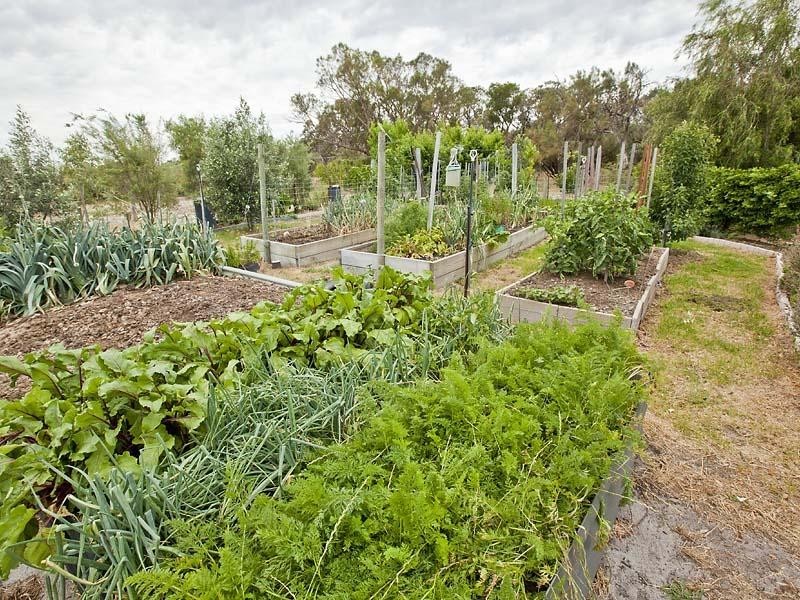 31 Shoulder Close, Wellard WA 6170