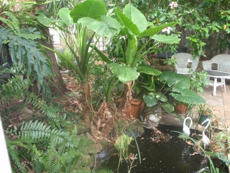 6 Derbal Street, Medina WA 6167