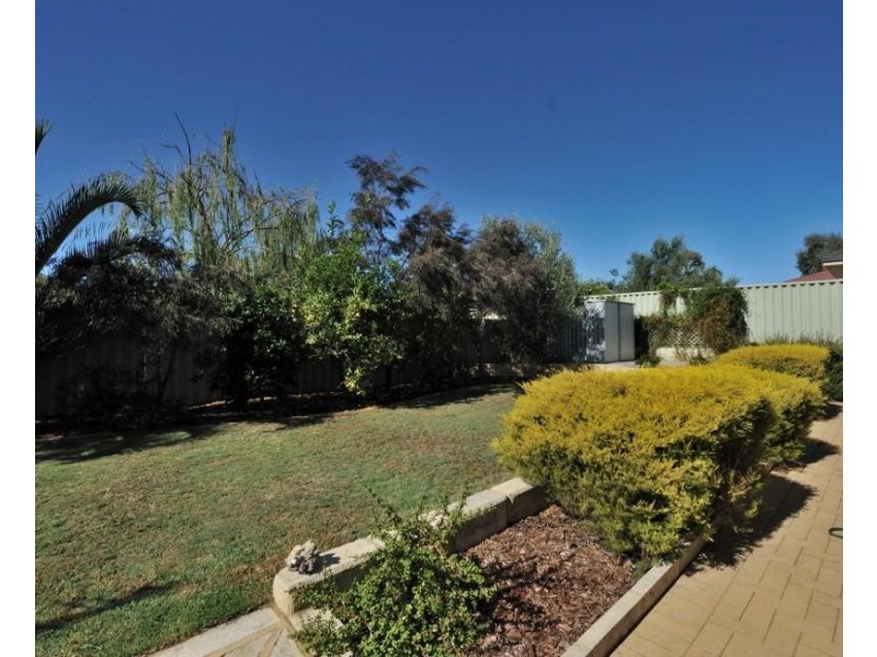 29 Suntree Mews, Beeliar WA 6164