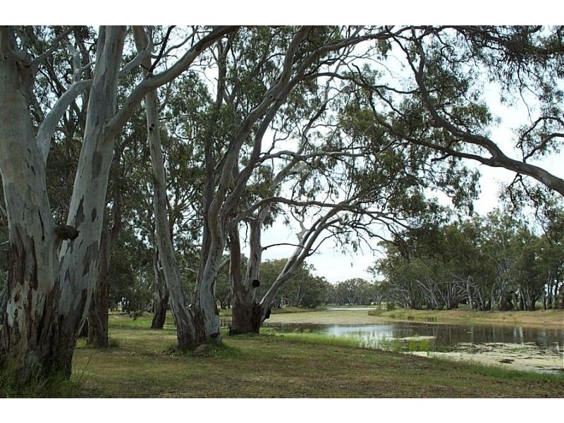 122 Craig Avenue, Warracknabeal VIC 3393