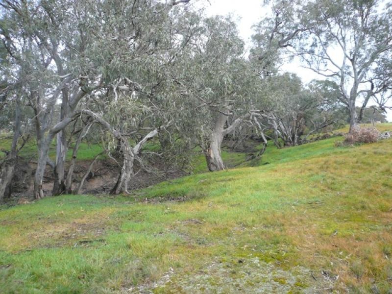 3447 Banyena St Arnaud Rd, Banyena VIC 3388