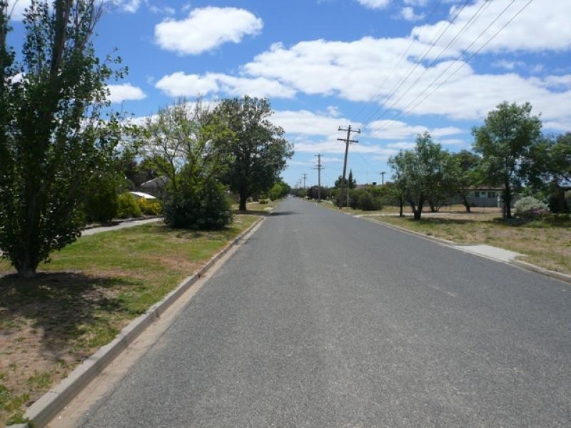133 Jamouneau Street, Warracknabeal VIC 3393