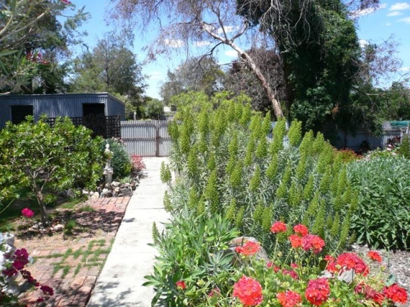 7 South Street, Minyip VIC 3392