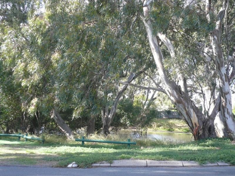 78 Craig Avenue, Warracknabeal VIC 3393