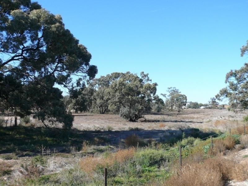 96 Evelyn Street, Hopetoun VIC 3396