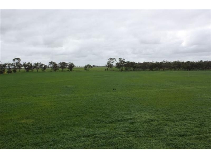 991 River Road, Antwerp VIC 3414