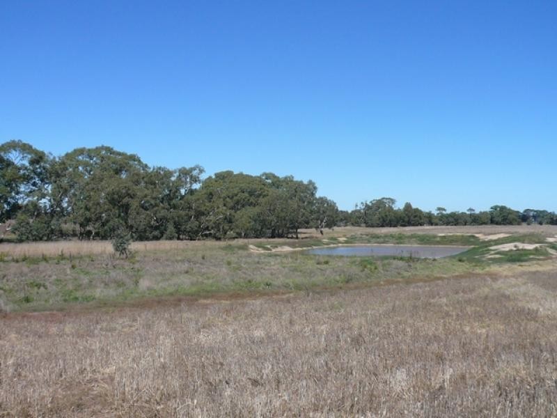 3281 Minyip St Arnaud Rd, Banyena VIC 3388