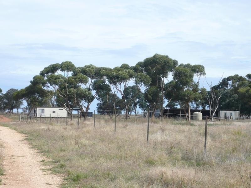 3281 Minyip St Arnaud Rd, Banyena VIC 3388