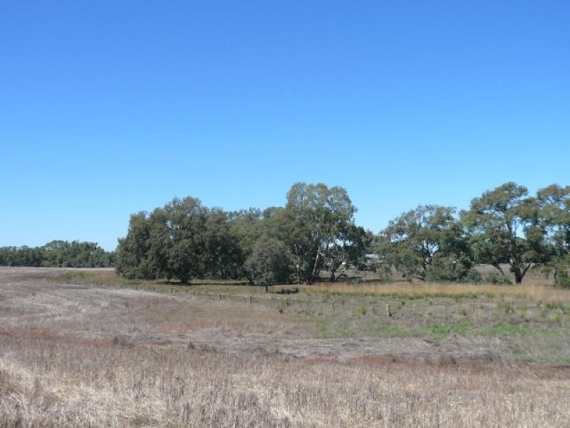 3281 Minyip St Arnaud Rd, Banyena VIC 3388