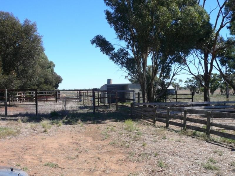 3281 Minyip St Arnaud Rd, Banyena VIC 3388