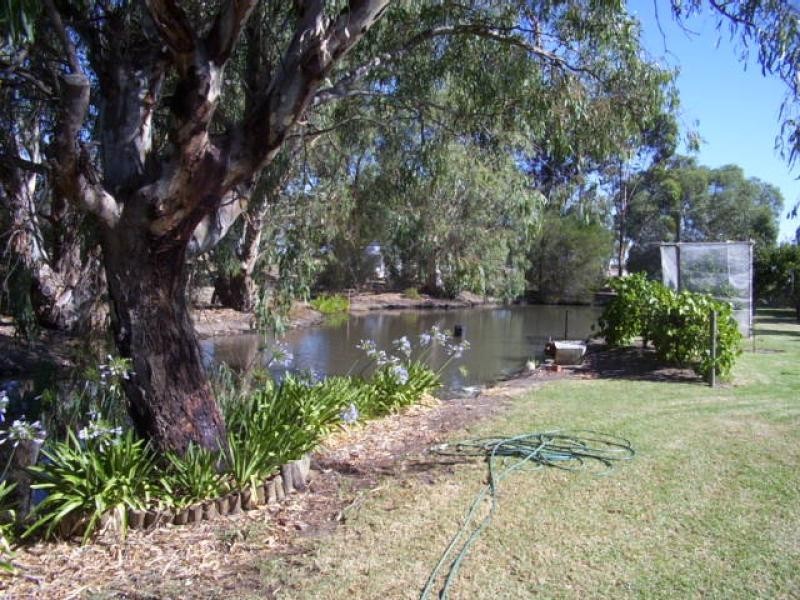 452 Murrabit West Road, Kerang VIC 3579