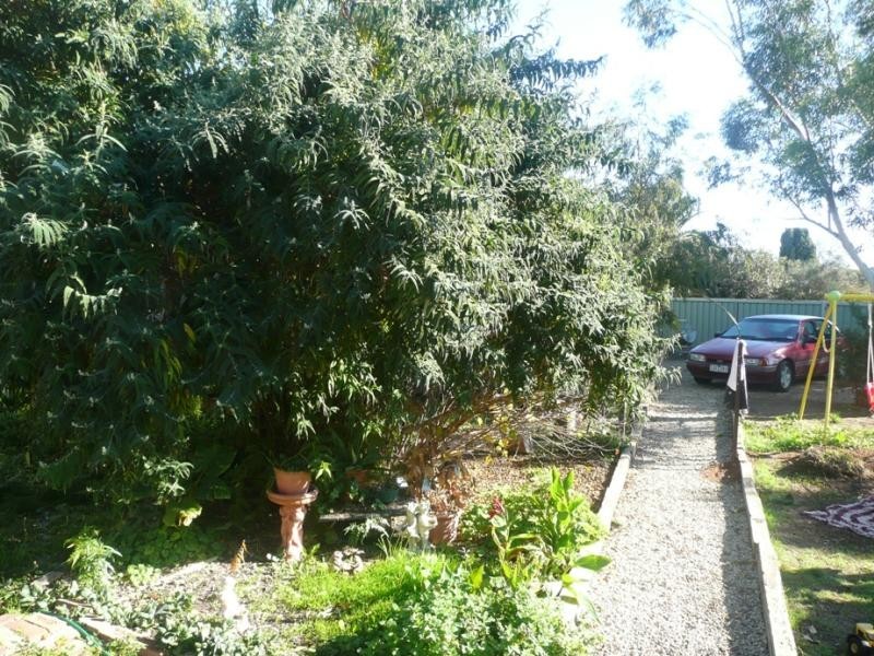 12 Kerang Road, Quambatook VIC 3540