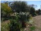 48 Kerang Road, Quambatook VIC 3540