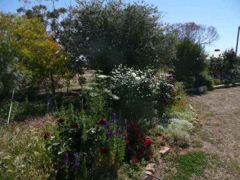 48 Kerang Road, Quambatook VIC 3540