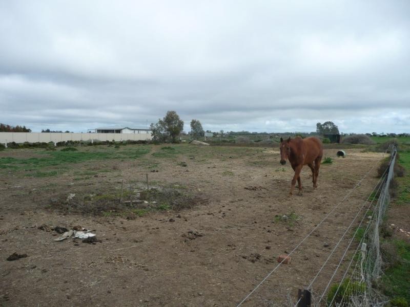 14 Collins Road, Kerang VIC 3579