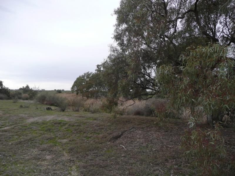 122 Loddon Road, Kerang VIC 3579