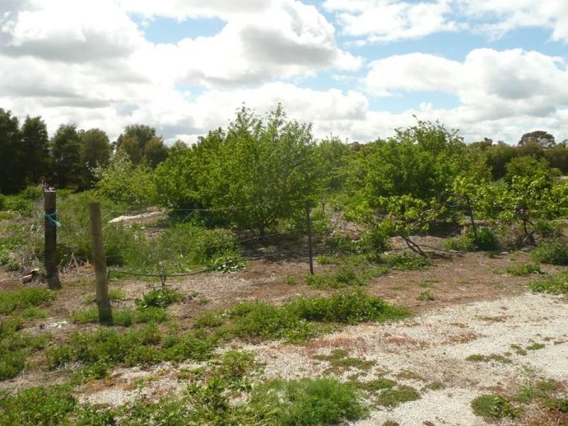 34 Borough Drive, Kerang VIC 3579