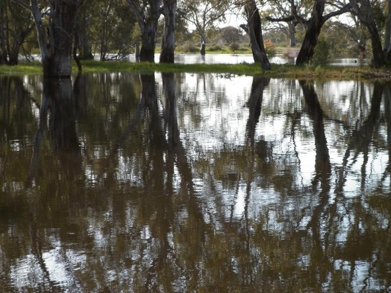 101 Barham/Moulamein Rd, Moulamein NSW 2733