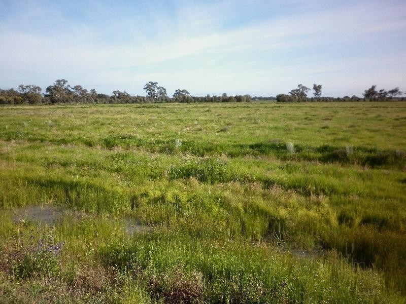 101 Barham/Moulamein Rd, Moulamein NSW 2733