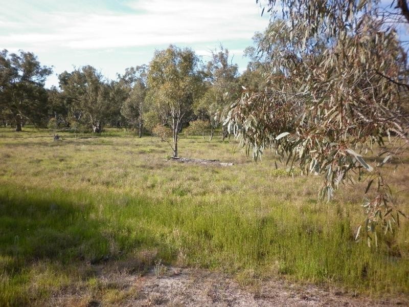 101 Barham/Moulamein Rd, Moulamein NSW 2733