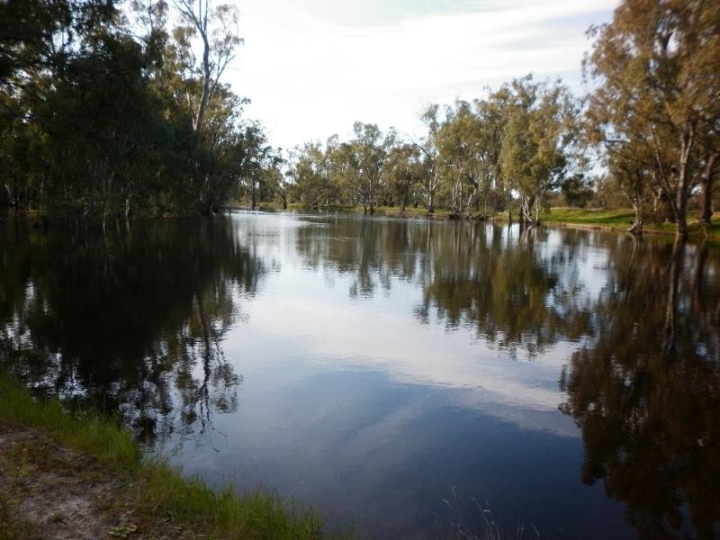 101 Barham/Moulamein Rd, Moulamein NSW 2733